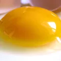 Egg yolk