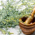 Wormwood